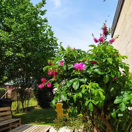 Maison Chic & Charme Calme Avec Jardin * Le Mans