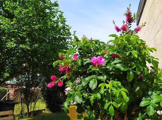 Maison Chic & Charme Calme Avec Jardin * Le Mans